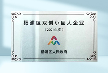 杨浦区双创小巨人企业